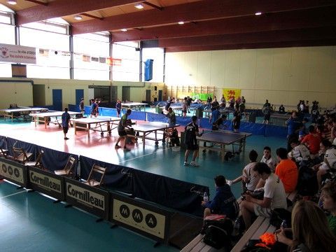 Navarra participar&aacute; en la Copa Pirineos.